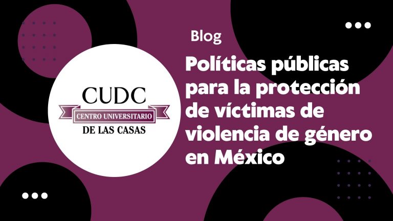 Políticas públicas para la protección de víctimas de violencia de género en México